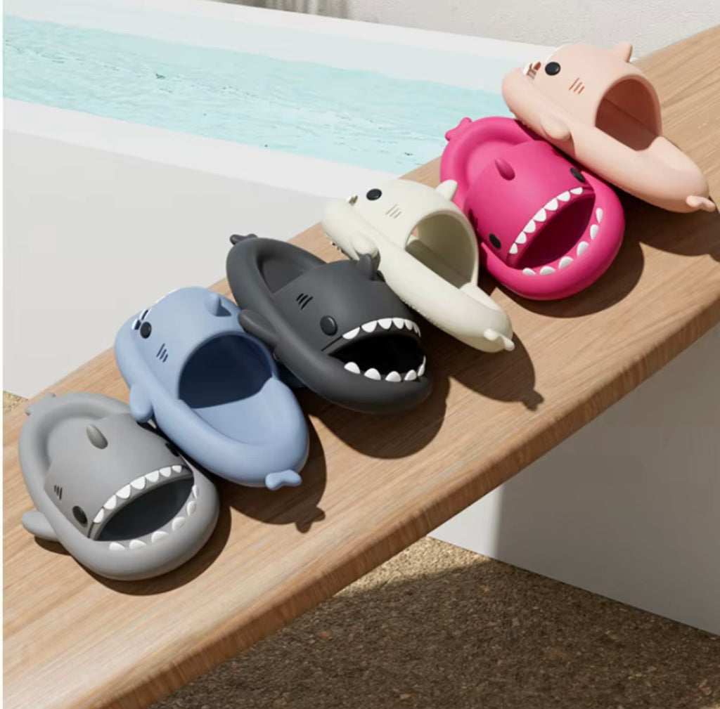 Shark Slides